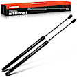 APGS0811 2x Rear Tailgate Lift Supports Shock Struts