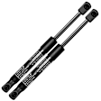 APGS0828 2x Rear Hood Lift Supports Shock Struts