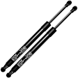 APGS0892 2x Rear Liftgate Lift Supports Shock Struts