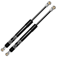 APGS1008 2 Pcs Rear Trunk Lift Supports Shock Struts