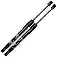 APGS1022 2 Pcs Rear Liftgate Lift Supports Shock Struts