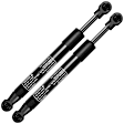 APGS1029 2 Pcs Rear Trunk Lift Supports Shock Struts