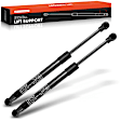 APGS1034 2 Pcs Front Hood Lift Supports Shock Struts