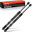 APGS1072 2 Pcs Rear Tailgate Lift Supports Shock Struts
