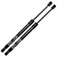 APGS1109 2 Pcs Rear Liftgate Lift Supports Shock Struts