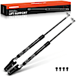 APGS1116 2 Pcs Rear Liftgate Lift Supports Shock Struts
