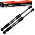 APGS1124 2 Pcs Rear Trunk Lift Supports Shock Struts