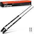 APGS1202 2 Pcs Rear Liftgate Lift Supports Shock Struts