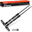 APGS1317 2 Pcs Rear Liftgate Lift Supports Gas Spring Struts
