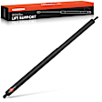 APGS1341 Rear Passenger Lift Support Shock Strut