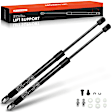 APGS60551PG 2 Pcs Trunk Liftgate Lift Supports Shocks Struts