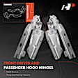 APHHI009 2 Pcs Front Driver & Passenger Hood Hinge