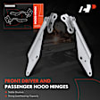APHHI051 2 Pcs Front Driver & Passenger Hood Hinge