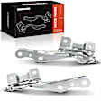 APHHI194 2 Pcs Front Driver & Passenger Hood Hinge
