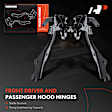 APHHI306TW 2 Pcs Driver & Passenger Hood Hinge