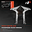 APHHI329TW 2 Pcs Driver & Passenger Hood Hinge