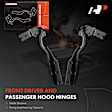APHHI417TW 2 Pcs Driver & Passenger Hood Hinge