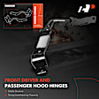 APHHI494 Front Passenger Hood Hinge