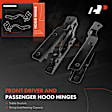 APHHI552 2 Pcs Driver & Passenger Hood Hinge