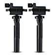 APIC0023 2 Pcs Ignition Coils