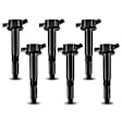 APIC0079 6x Ignition Coils with 2 Pins
