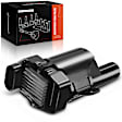 APIC0110 Ignition Coil with 4 Pins
