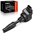 APIC0271 Ignition Coil with 4 Pins