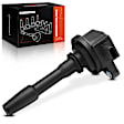 APIC0375 Ignition Coil with 2 Pins