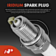 APIC0491MF 8-Piece Kit Ignition Coil and Platinum Spark Plug Kits