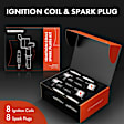 APIC0493 Ignition Coil and Platinum Spark Plug Kit