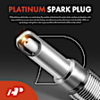 APIC0493 Ignition Coil and Platinum Spark Plug Kit
