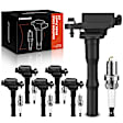 APIC0502 12-Piece Kit Black Ignition Coil and Iridium Spark Plug Kits