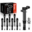 APIC0530 16-Piece Kit Black Ignition Coil and Iridium Spark Plug Kits