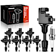 APIC0533 16-Piece Kit Black Ignition Coil and Iridium Spark Plug Kits