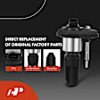 APIC0539PG 12-Piece Kit Black Ignition Coil and Iridium Spark Plug Kits