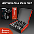 APIC0545 12-Piece Kit Black Ignition Coil and Iridium Spark Plug Kits