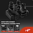 APIC0556 10-Piece Kit Black Ignition Coil and Iridium Spark Plug Kits