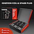 APIC0597 12-Piece Kit Black Ignition Coil and Iridium Spark Plug Kits