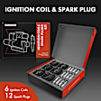 APIC0602 12-Piece Kit Ignition Coil and Iridium Spark Plug Kits
