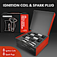 APIC0611 16-Piece Kit Black Ignition Coil and Iridium Spark Plug Kits