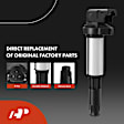APIC0611 16-Piece Kit Black Ignition Coil and Iridium Spark Plug Kits