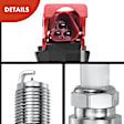 APIC0614 12-Piece Kit Red Ignition Coil and Iridium Spark Plug Kits