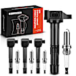 APIC0624 8-Piece Kit Black Ignition Coil and Iridium Spark Plug Kits