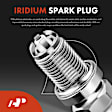APIC0626PG 8-Piece Kit Ignition Coil and Iridium Spark Plug Kits
