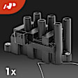 APIC0630 1x Black Ignition Coil & 6x IRIDIUM Spark Plug Kits