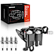 APIC0646 1x Black Ignition Coil & 4x IRIDIUM Spark Plug Kits