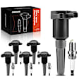 APIC0660 12-Piece Kit Black Ignition Coil and Iridium Spark Plug Kits