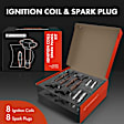 APIC0665 16-Piece Kit Black Ignition Coil and Iridium Spark Plug Kits