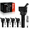 APIC0670 10-Piece Kit Black Ignition Coil and Iridium Spark Plug Kits