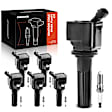 APIC0671 12-Piece Kit Black Ignition Coil and Iridium Spark Plug Kits